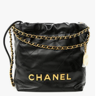 Chanel 22 Bags