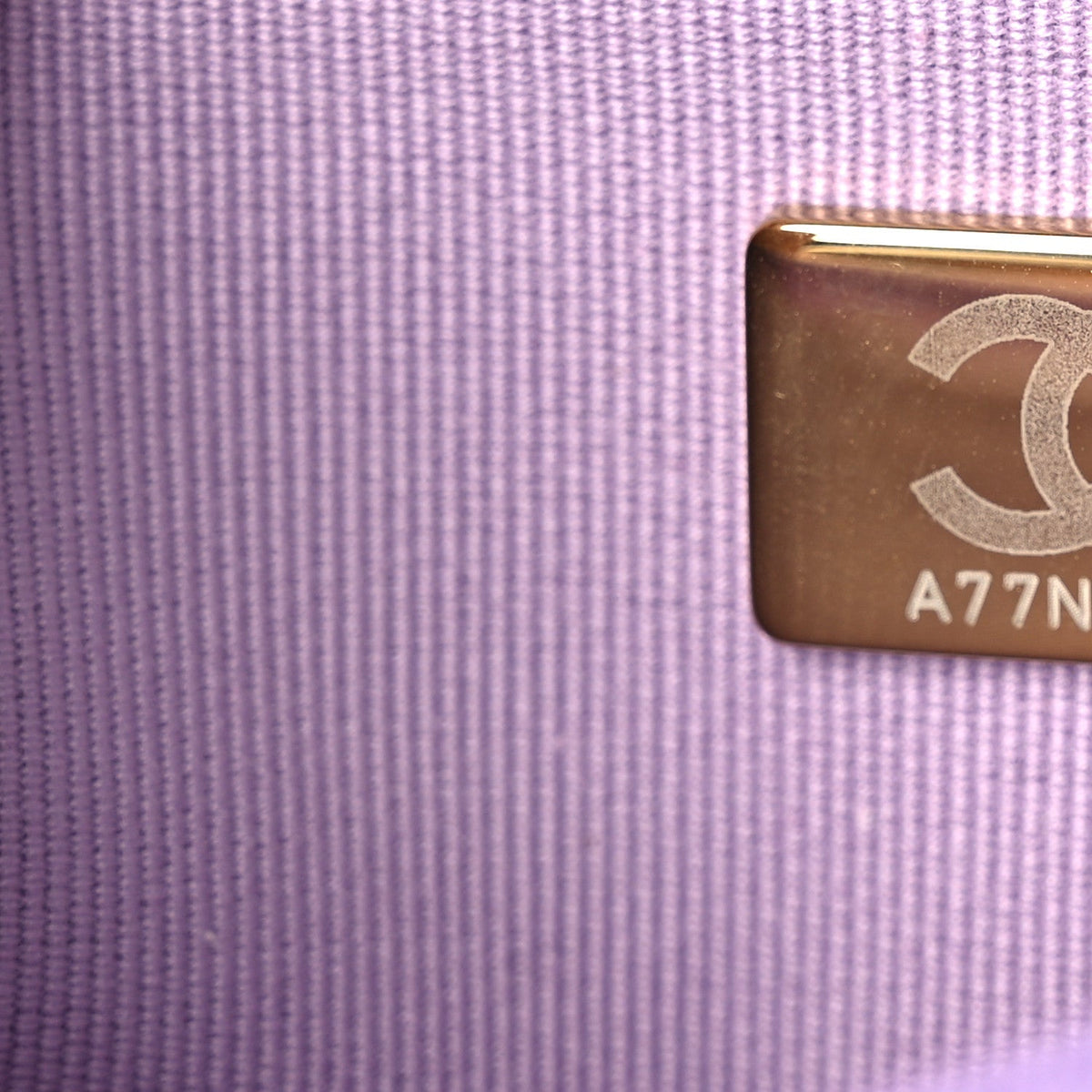 Lambskin Quilted Chanel 19 Wallet On Chain WOC Light Purple