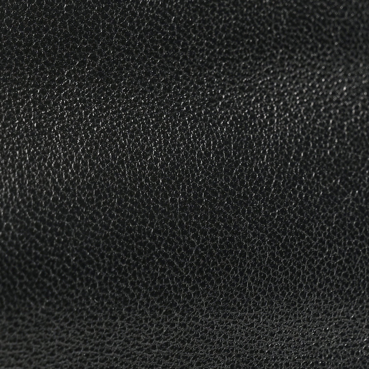 Lambskin Quilted Chanel 19 Wallet On Chain WOC Black