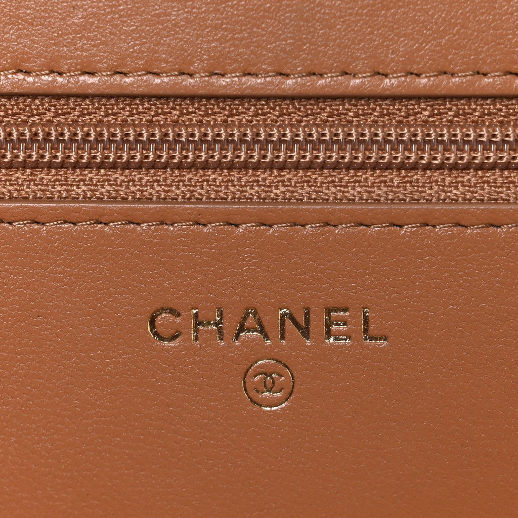 Lambskin Quilted Chanel 19 Wallet On Chain WOC Brown