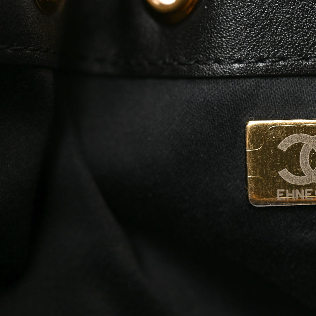 Pony Hair Mini Chanel 25 Handbag Black