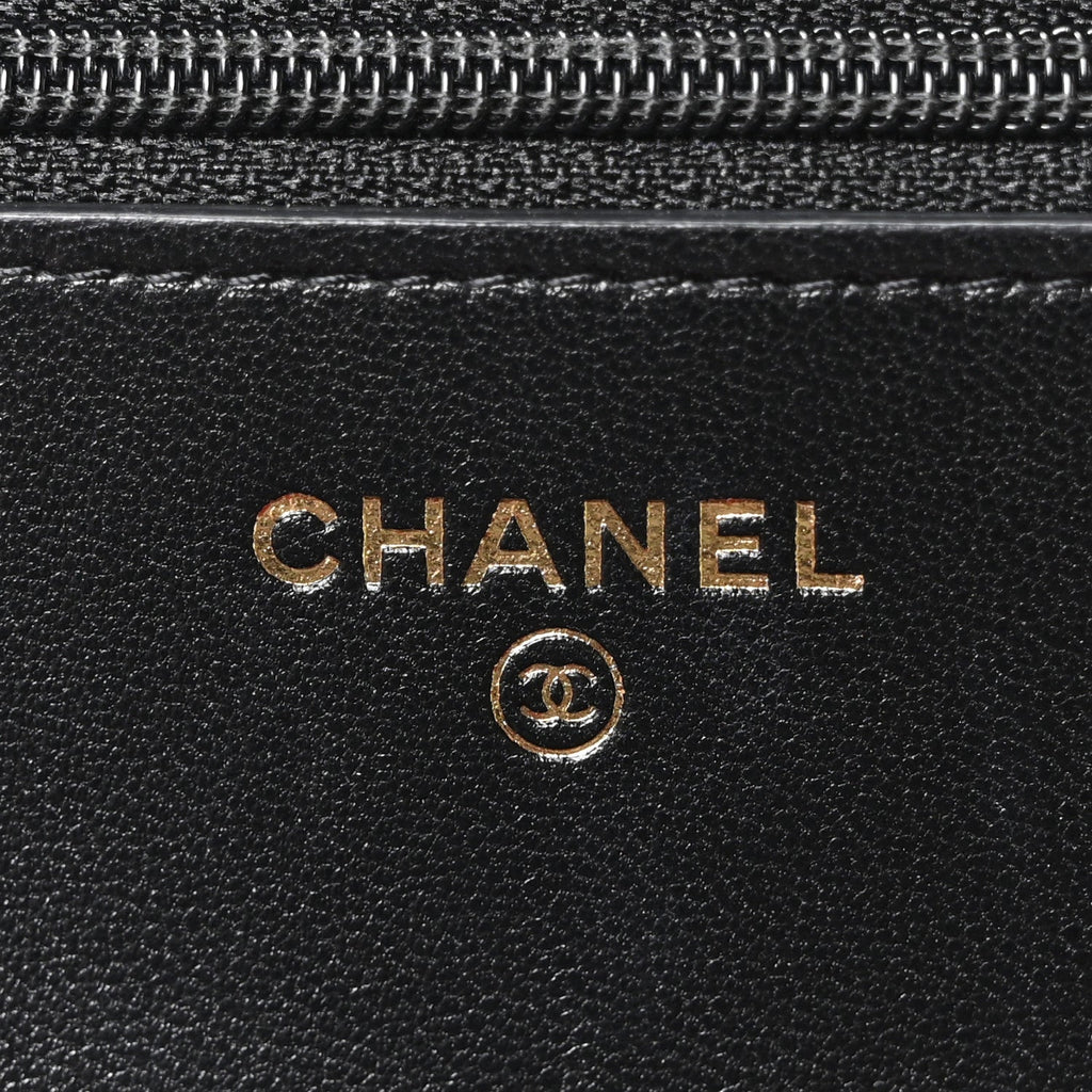 Lambskin Quilted Chanel 19 Wallet On Chain WOC Black