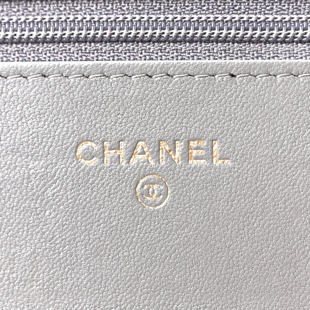 Lambskin Quilted Chanel 19 Wallet On Chain WOC Grey