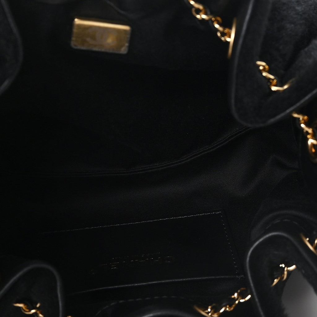 Pony Hair Mini Chanel 25 Handbag Black