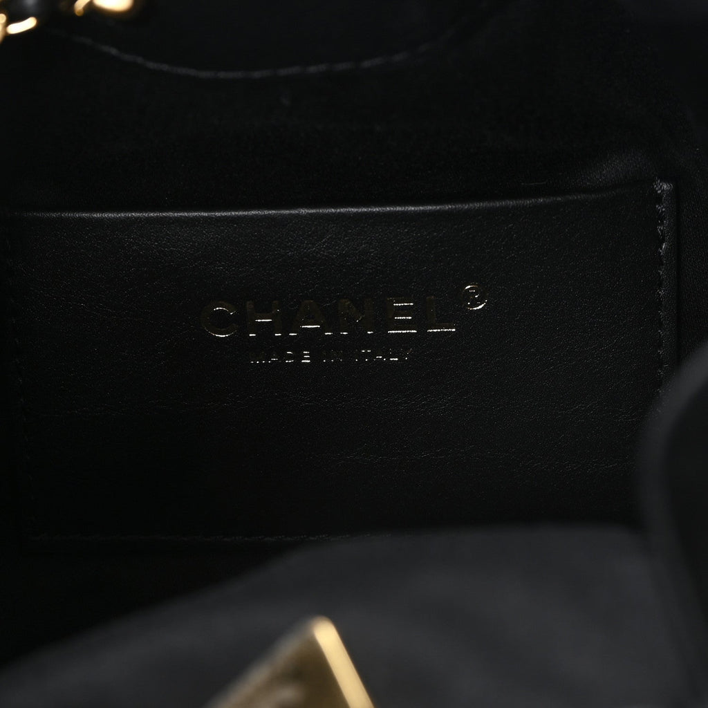 Pony Hair Mini Chanel 25 Handbag Black