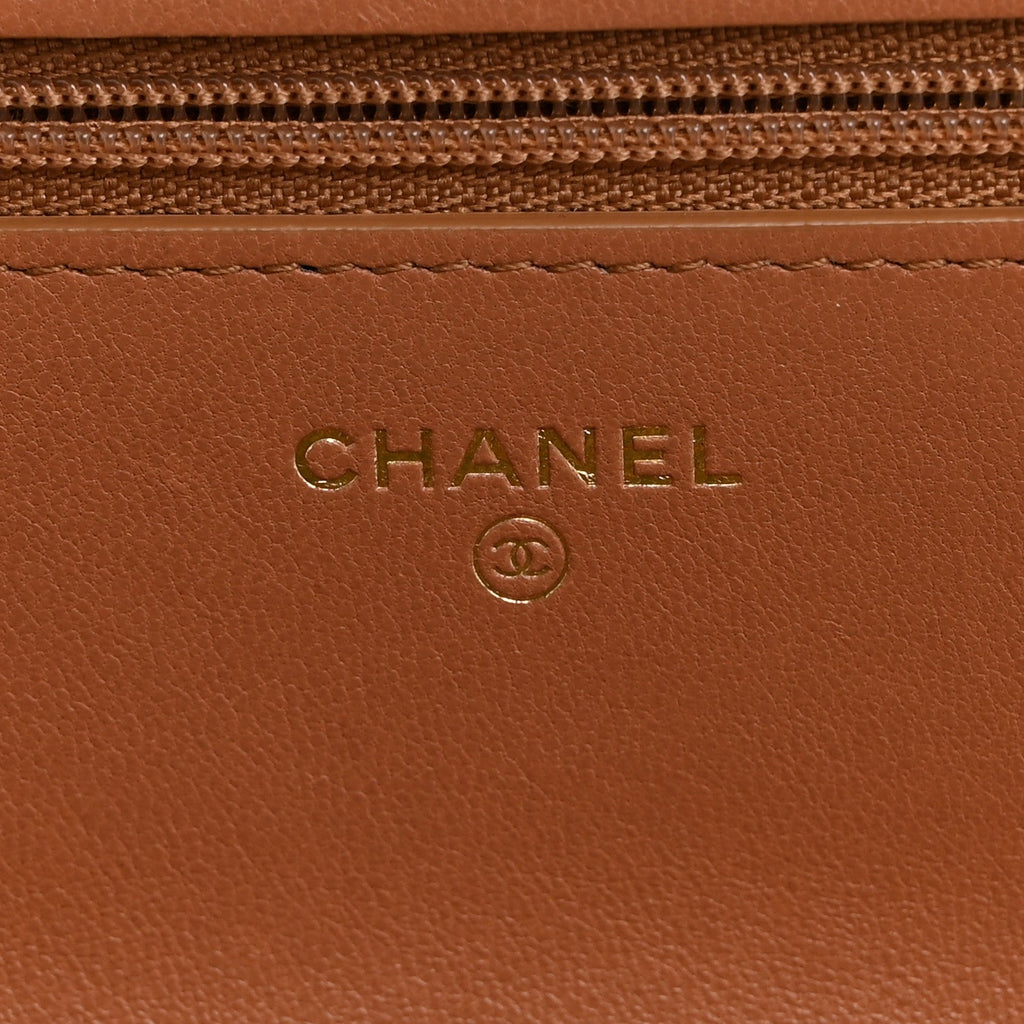 Lambskin Quilted Chanel 19 Wallet On Chain WOC Brown