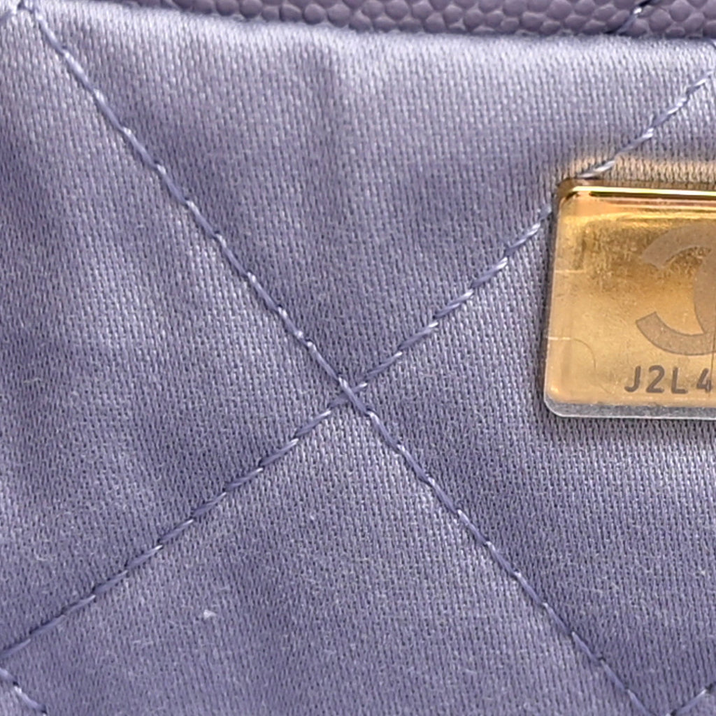 Shiny Caviar Quilted Monochrome Small Chanel 22 Light Purple
