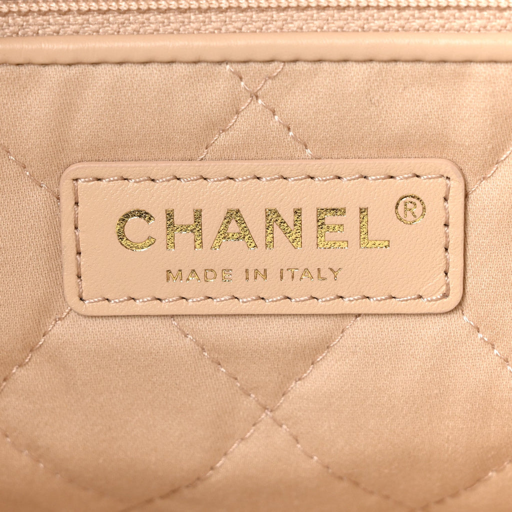 Shiny Calfskin Quilted Small Chanel 22 White