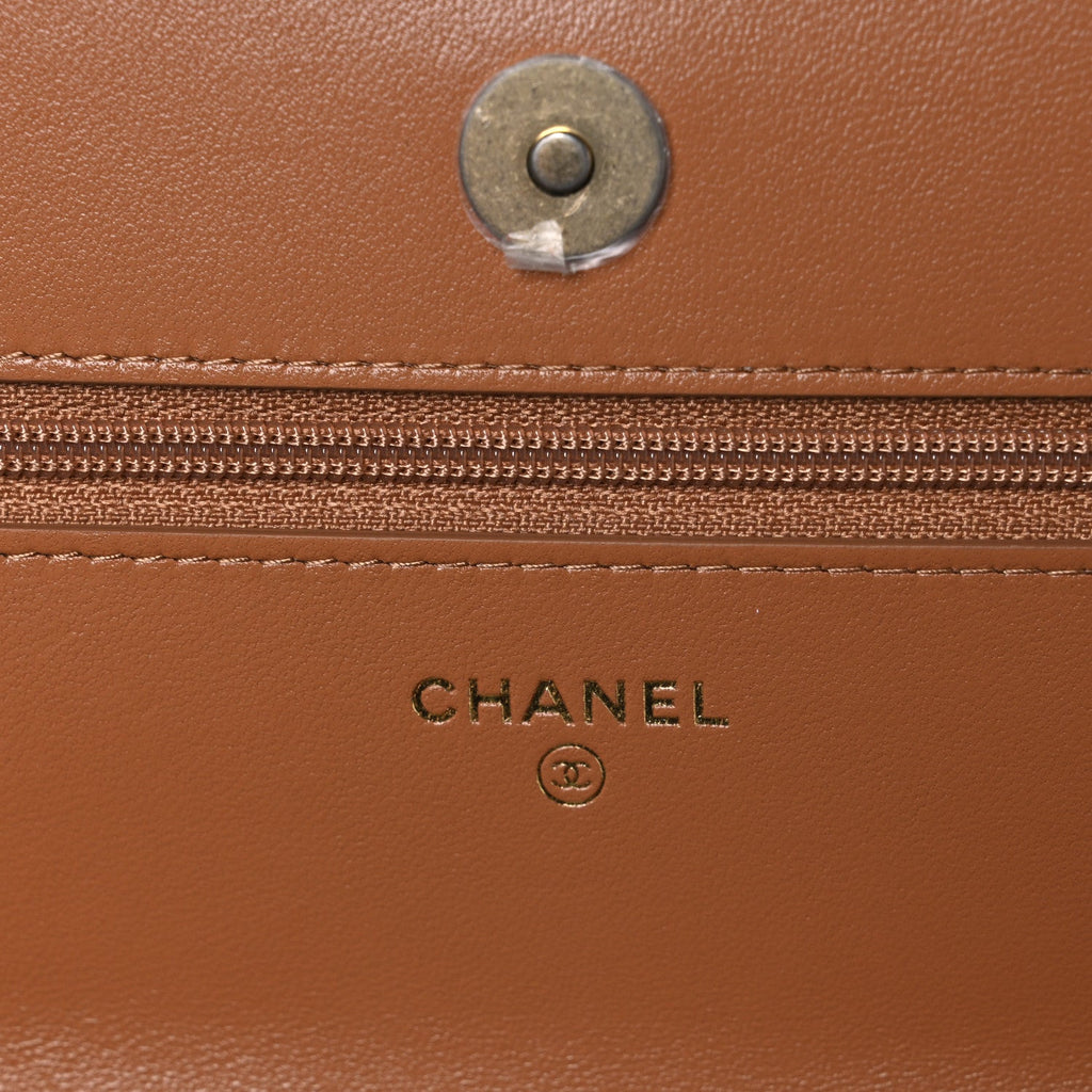 Lambskin Quilted Chanel 19 Wallet On Chain WOC Brown
