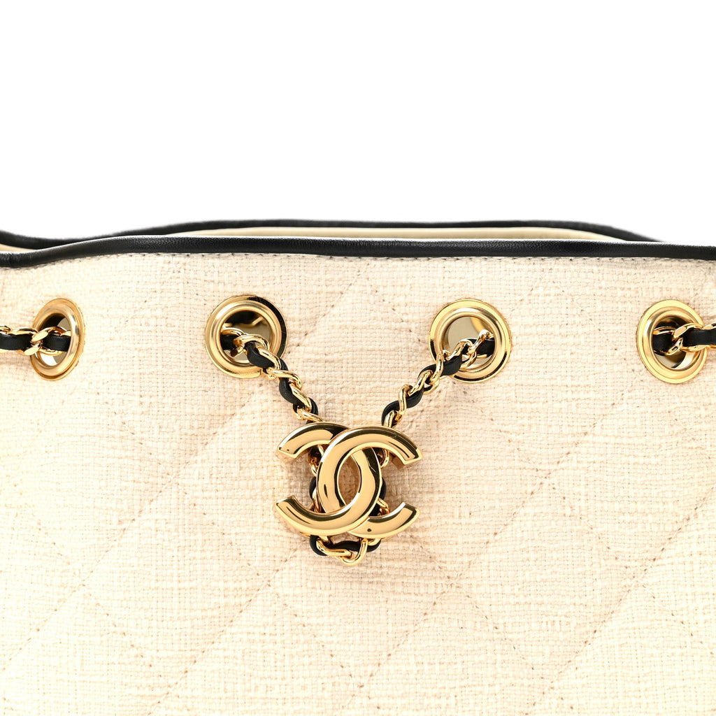 Canvas Calfskin Quilted Mini Chanel 25 Handbag Ecru Black