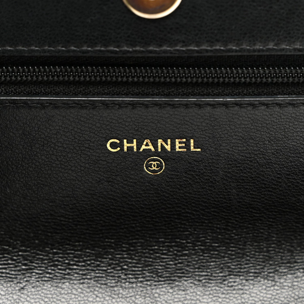 Goatskin Quilted Chanel 19 Wallet On Chain WOC Black
