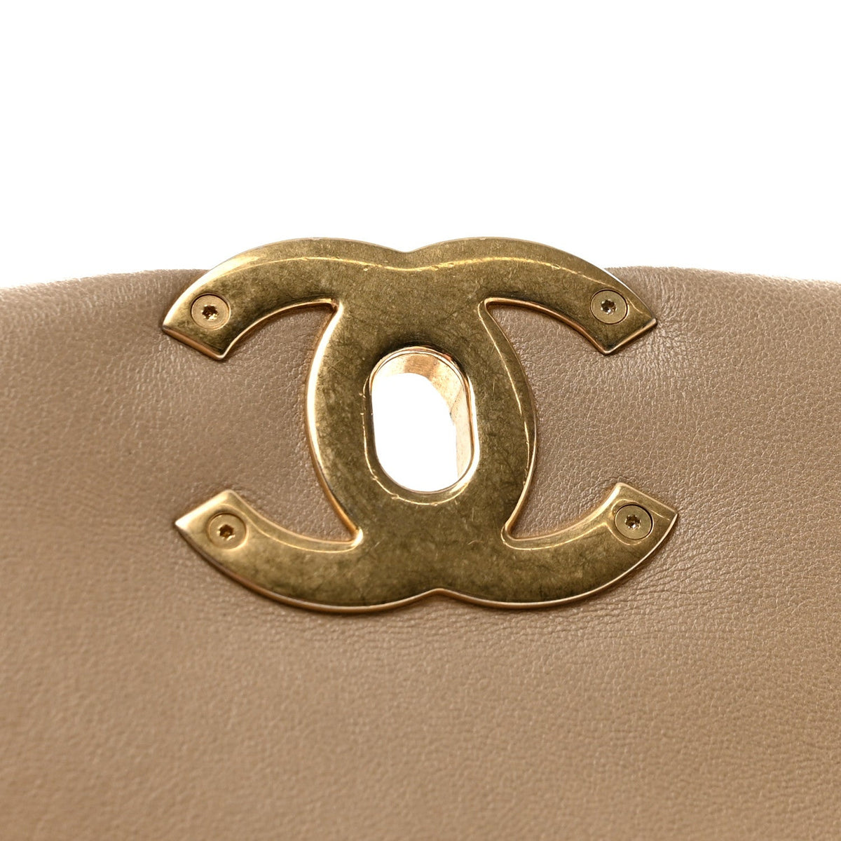 Lambskin Quilted Medium Chanel 19 Flap Dark Beige