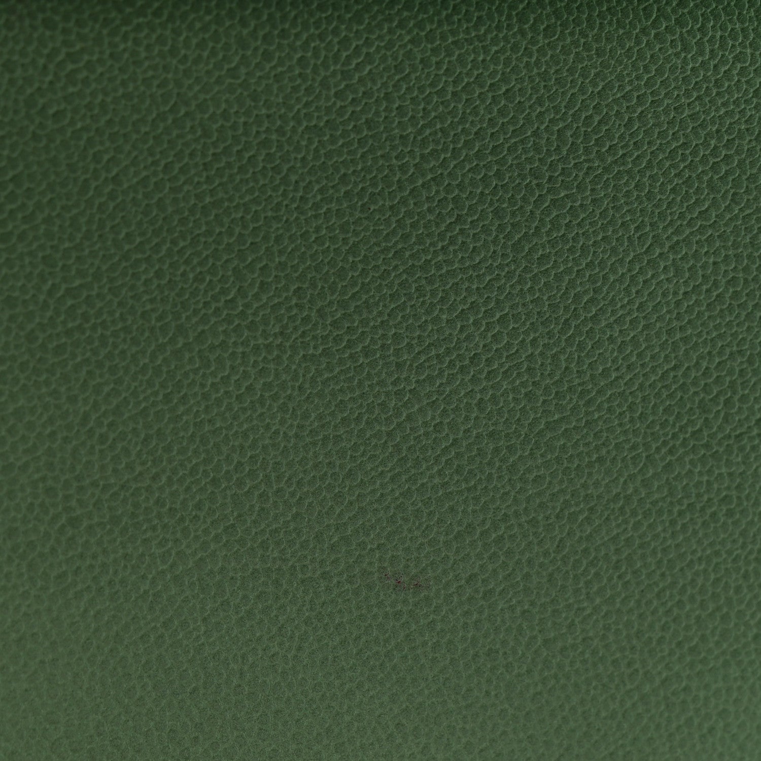 Caviar Quilted Small Boy Flap Green