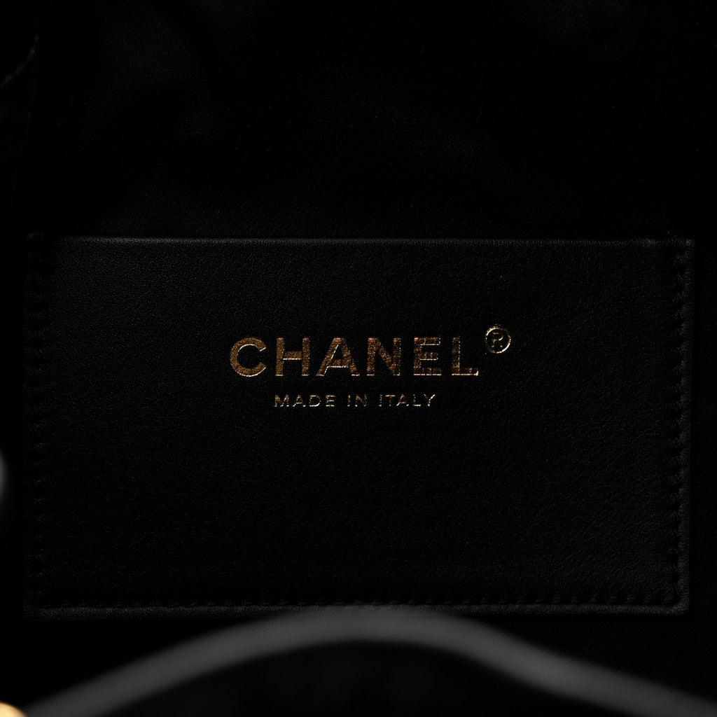 Pony Hair Mini Chanel 25 Handbag Black