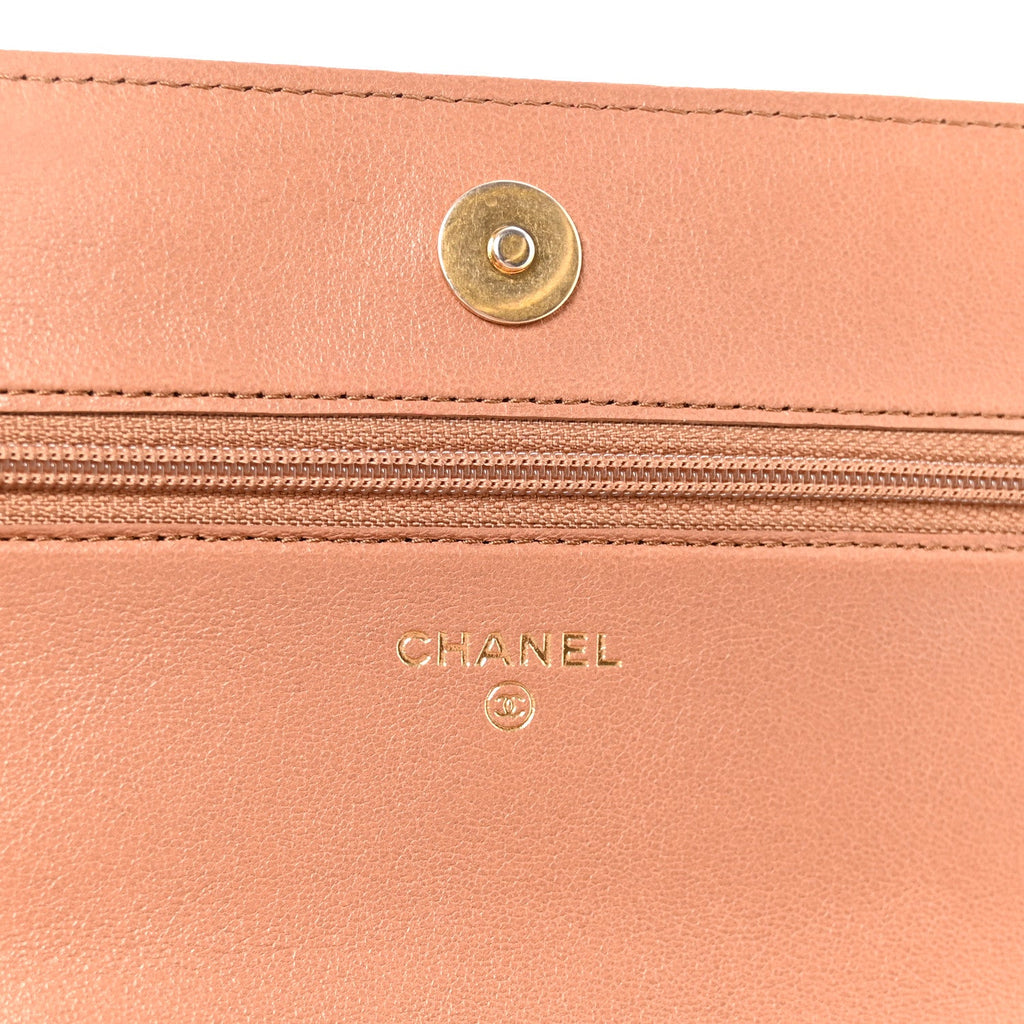 Lambskin Quilted Chanel 19 Wallet On Chain WOC Brown